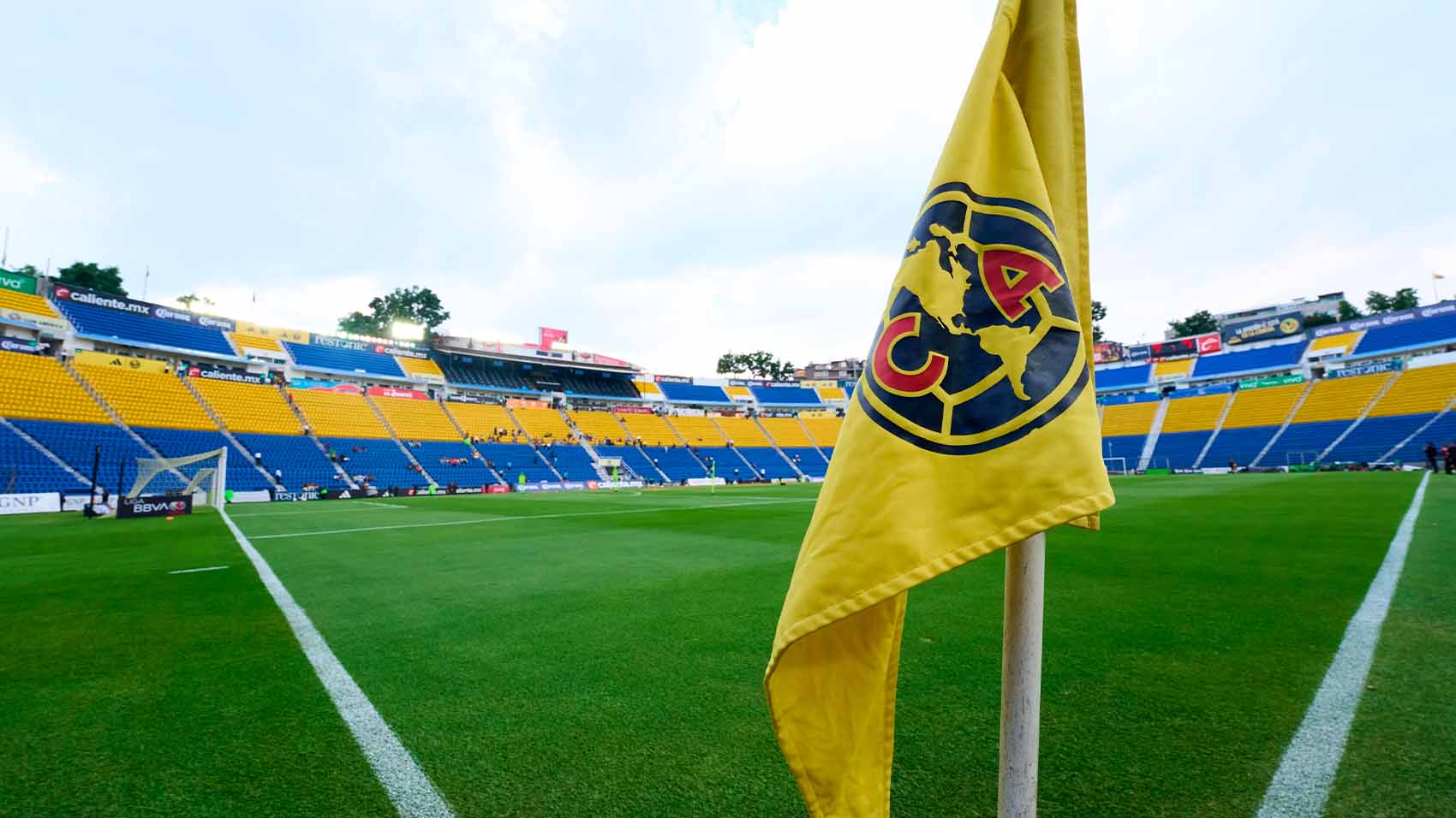 Juncal Solano y Gilberto Lozano estarán en foros sobre revocación de  mandato – Nacion321