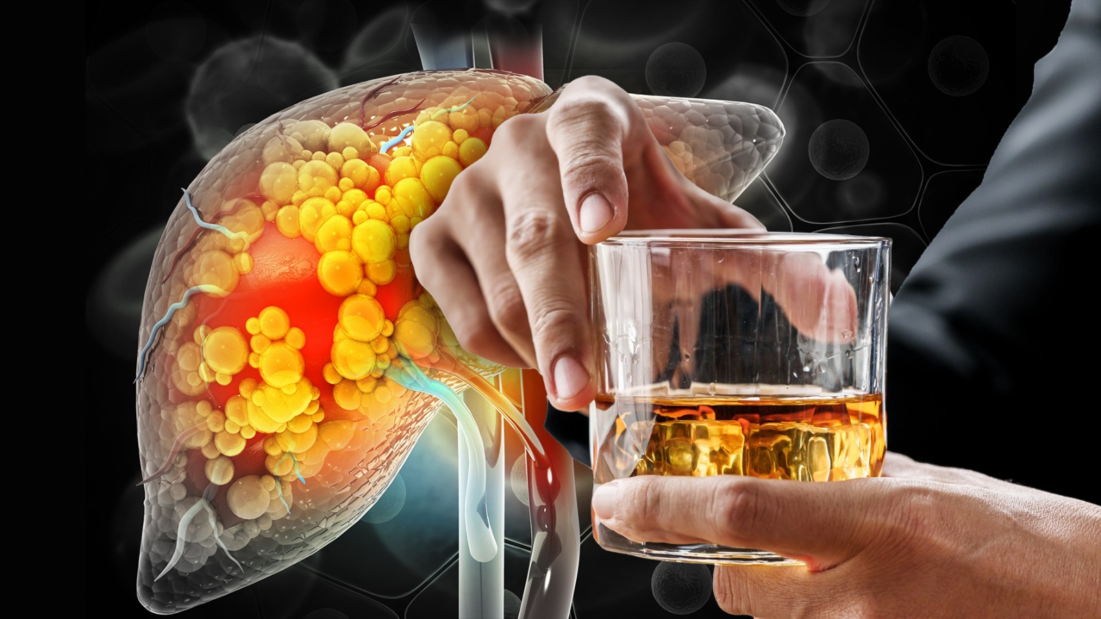 Cuál es la peor bebida alcohólica para tu hígado? – El Financiero