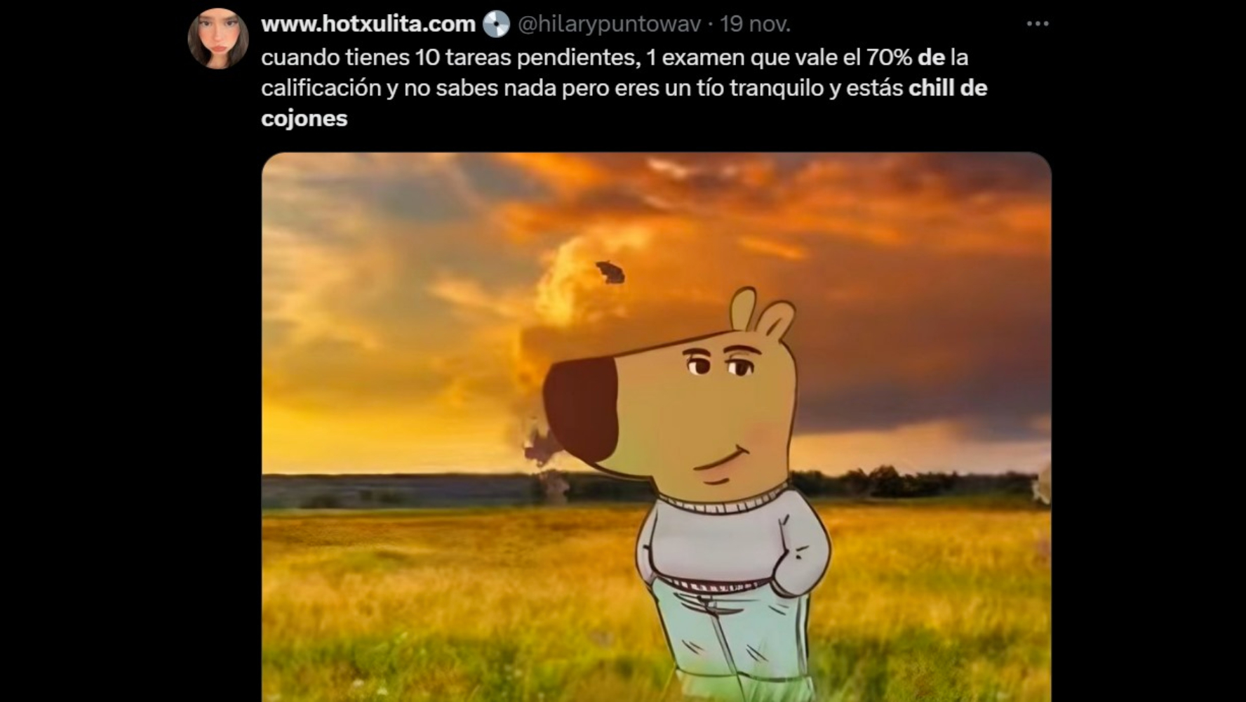 Memes Pokémon (@PokeCitas) on X, image size:1776x1000