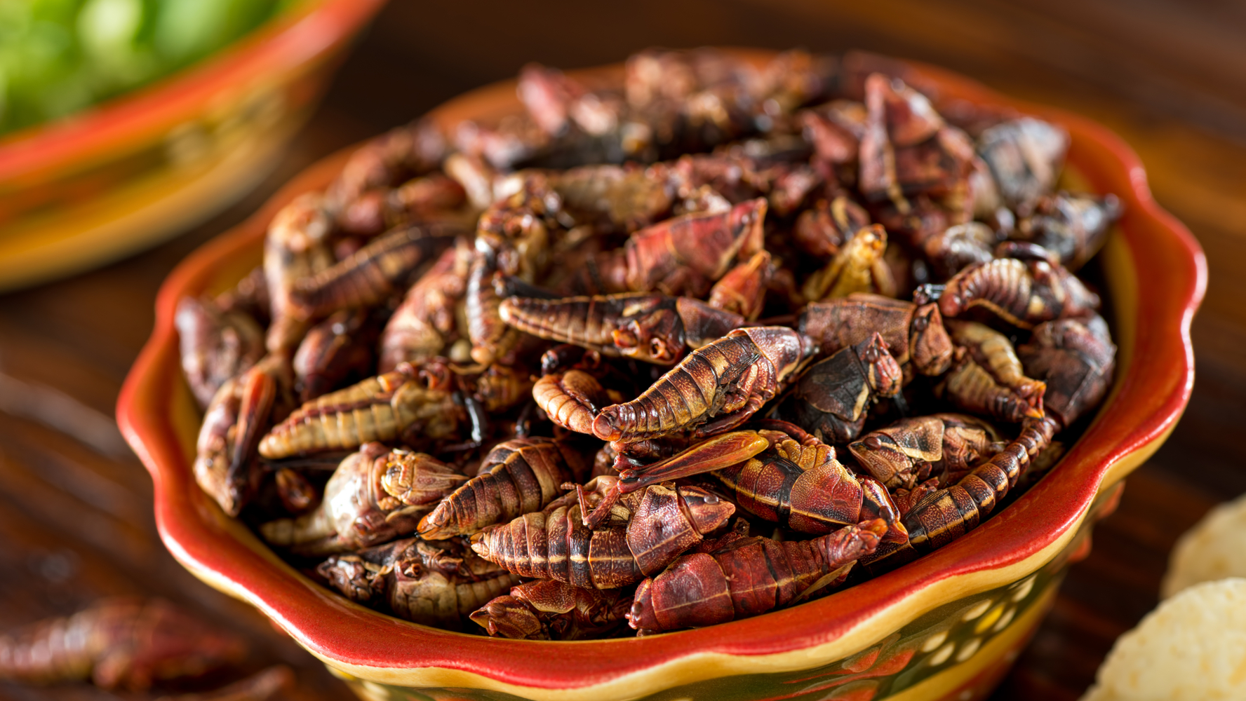 Chapulines, escamoles, huitlacoche y otros alimentos prehispánicos que siguen en la cocina mexicana – El Financiero
