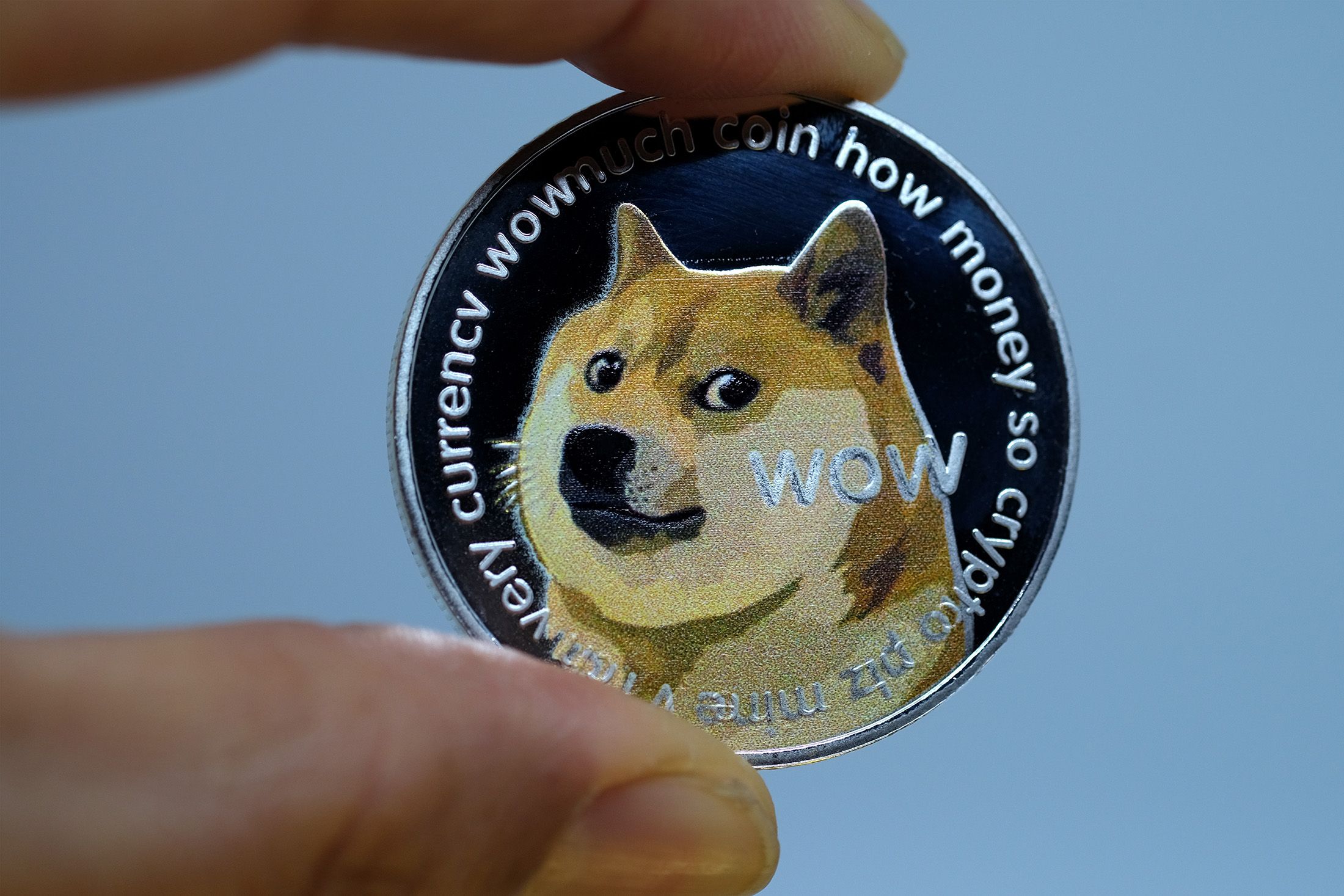 Cuánto cuesta un Dogecoin, criptomoneda impulsada por Elon Musk y que es  logo de Twitter? – El Financiero