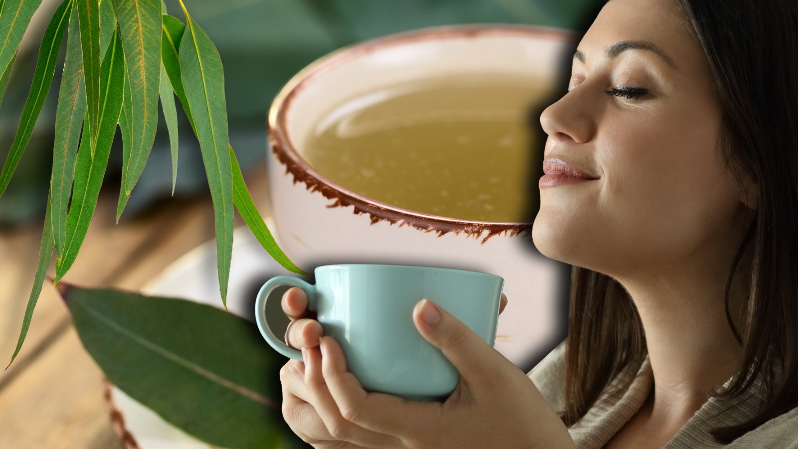  té de eucalipto