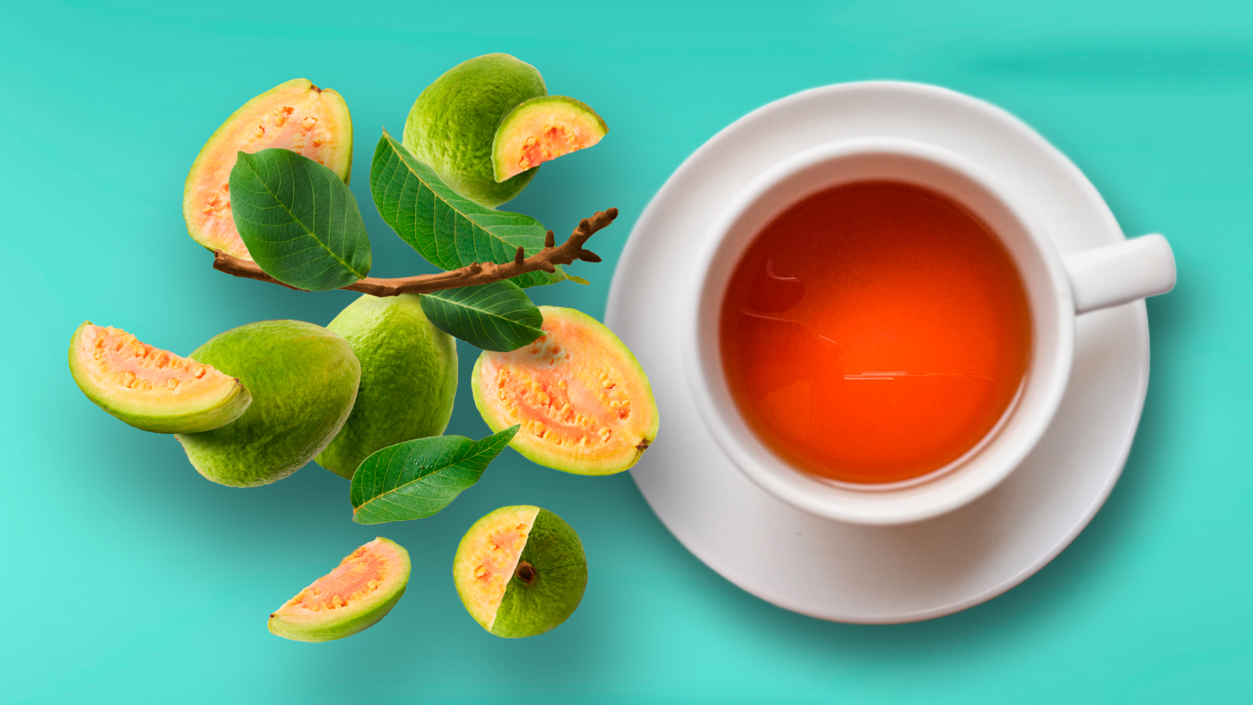 Cuáles son los beneficios del té de hoja de guayaba? – El Financiero