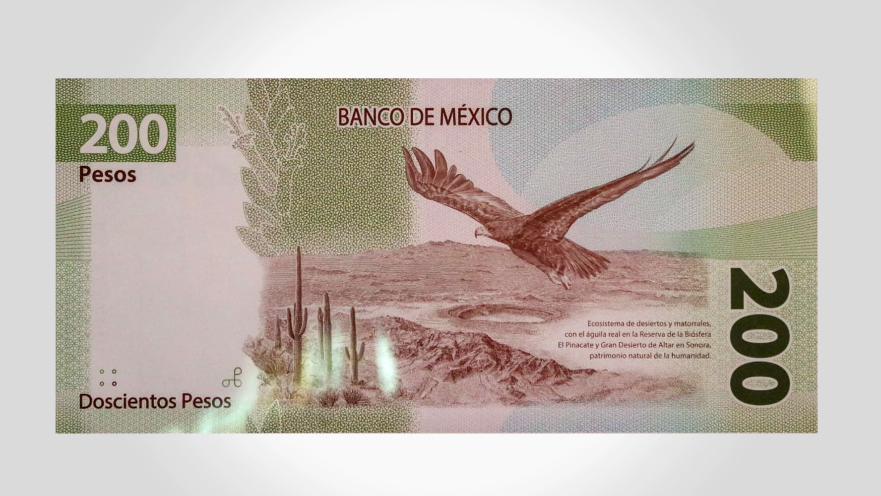 A detalle: así se ve el nuevo billete de 200 pesos – El Financiero