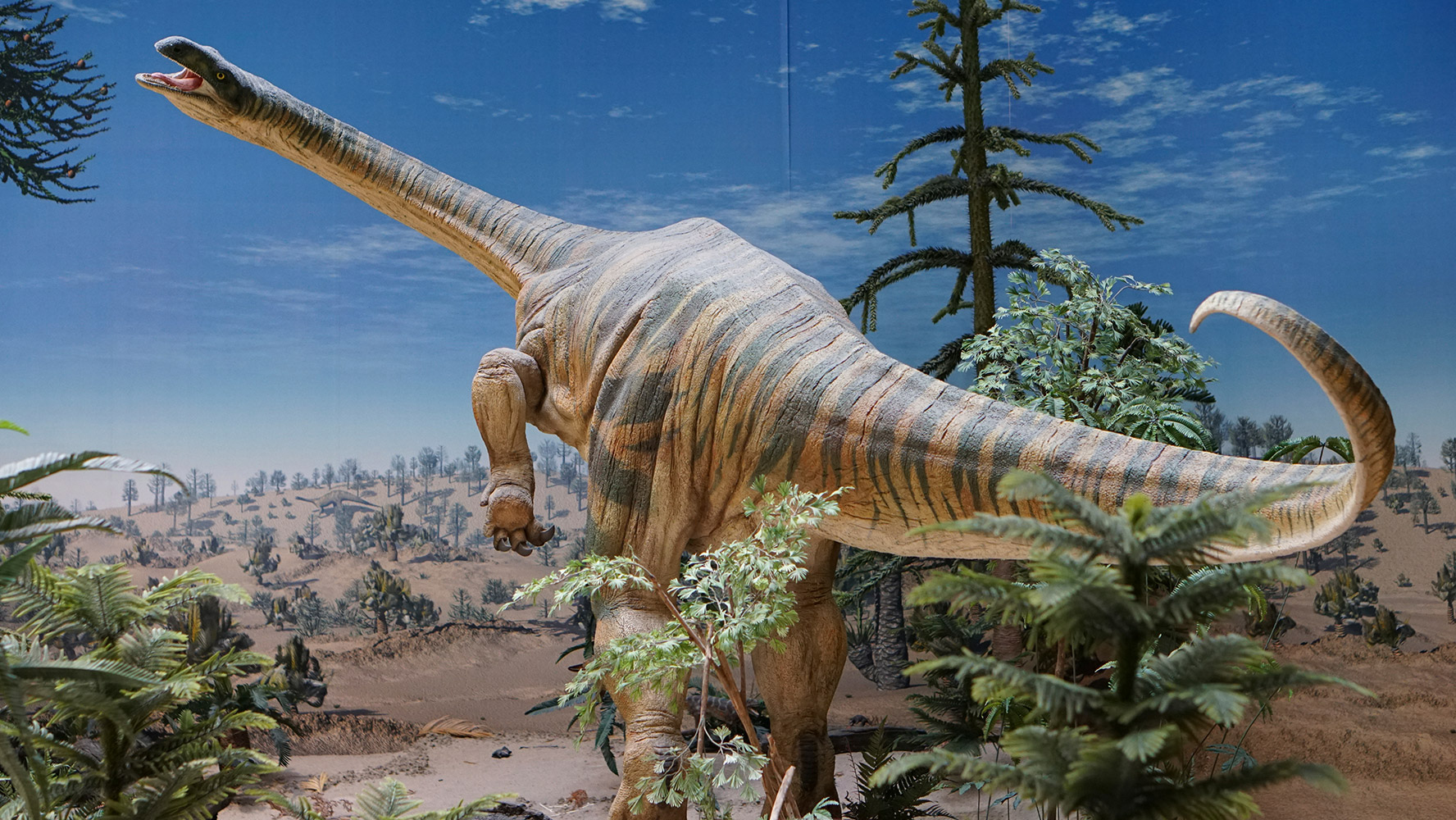 Científicos descubren que los dinosaurios herbívoros llegaron primero al  hemisferio norte que los carnívoros – El Financiero