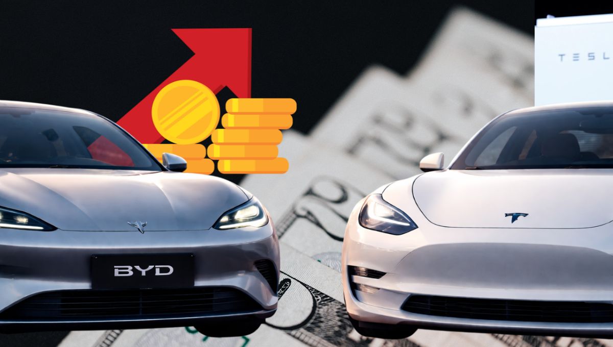 Elon Musk sigue perdiendo dinero: Tesla cometió un terrible error con el  Bitcoin que le costó miles de millones de dólares