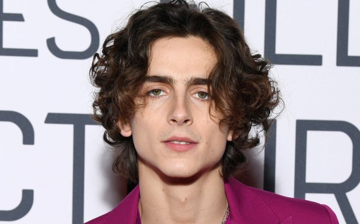 Timothée Chalamet es el nuevo embajador de Chanel | Noticias de México | El  Imparcial