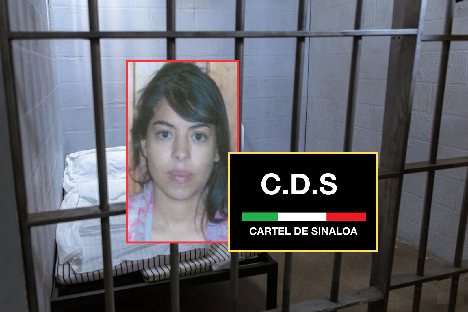Detienen en Canadá a Diana Toro Díaz, operadora financiera del Cártel de  Sinaloa y esposa del narcopiloto Alejandro Flores Cacho, tras intentar  ingresar con pasaporte falso y quedar bajo proceso migratorio con