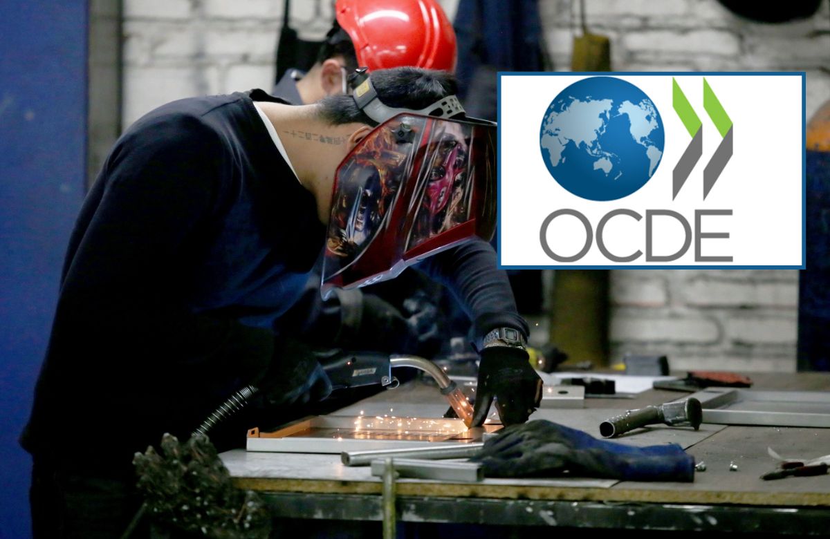 El empleo en México toca su techo histórico y desconcierta a la OCDE