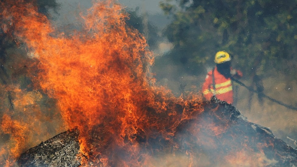 Cómo la selva amazónica se volvió más inflamable pese a ser de los lugares más húmedos del mundo