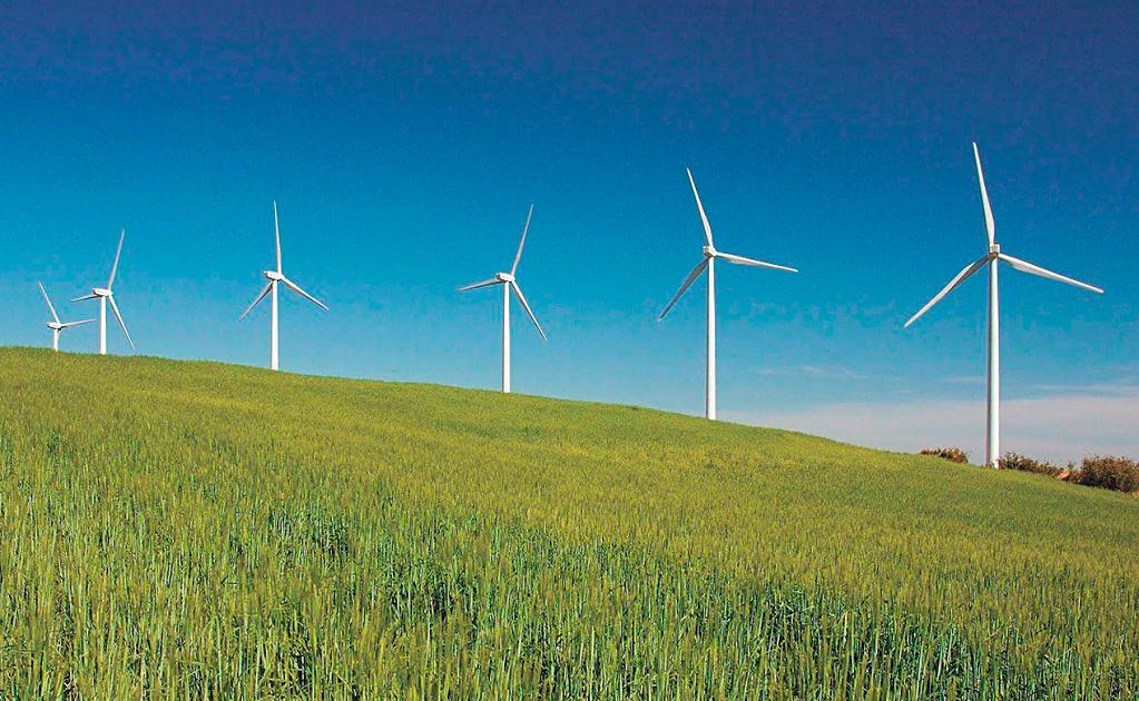 The President is not a fan of wind farms