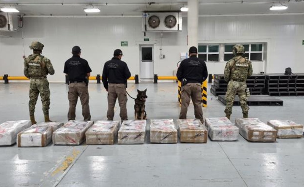 Mexican Navy seizes 678 kg of cocaine in Manzanillo