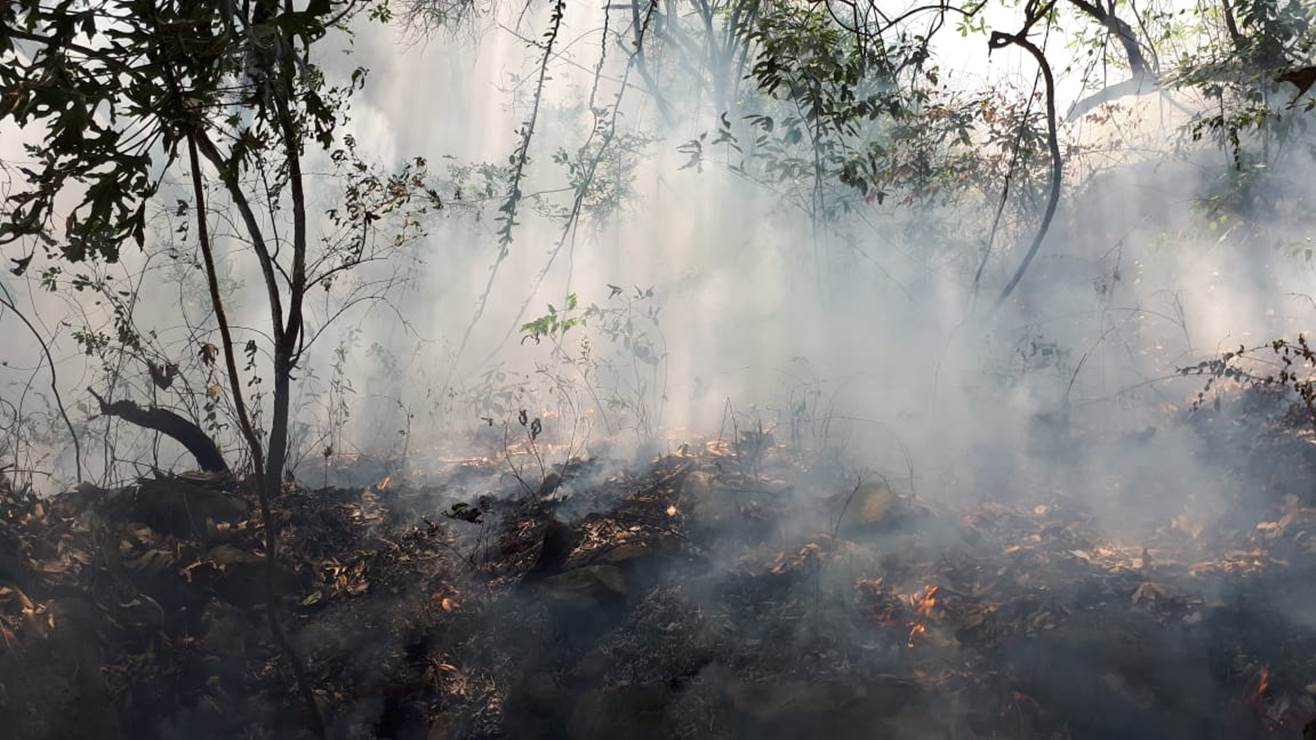 Profepa presenta denuncia por incendio provocado en el Parque Nacional “El Tepozteco”
