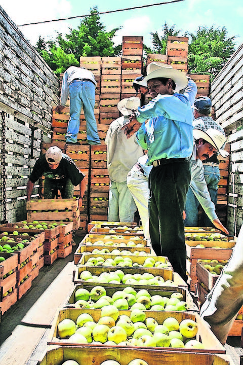 La SE impone cuotas para manzanas de EU