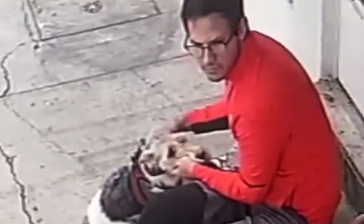 VIDEO: Captan a hombre golpeando a un perrito en la colonia Narvarte, CDMX