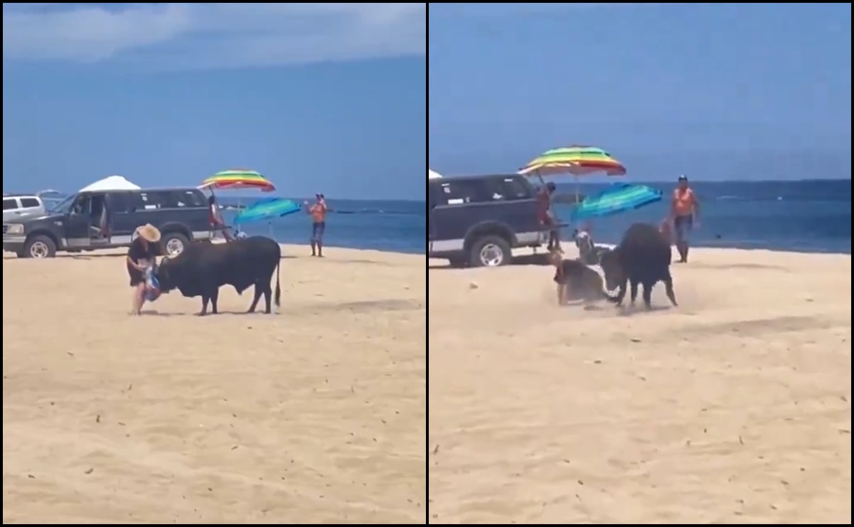 VIDEO: Toro embiste a una mujer en playa de Los Cabos, Baja California Sur