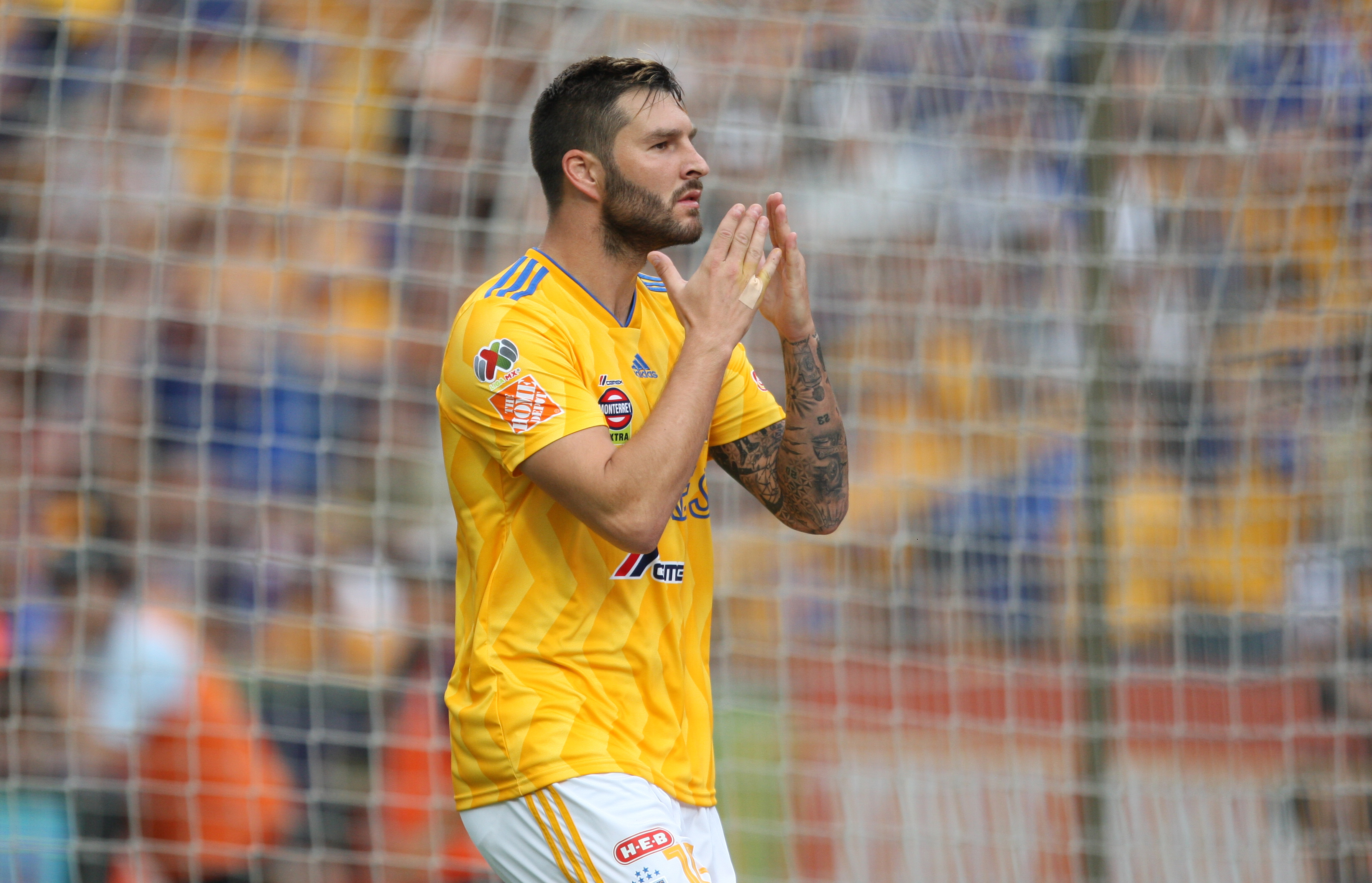 Gignac hace  lo que se le pega la gana