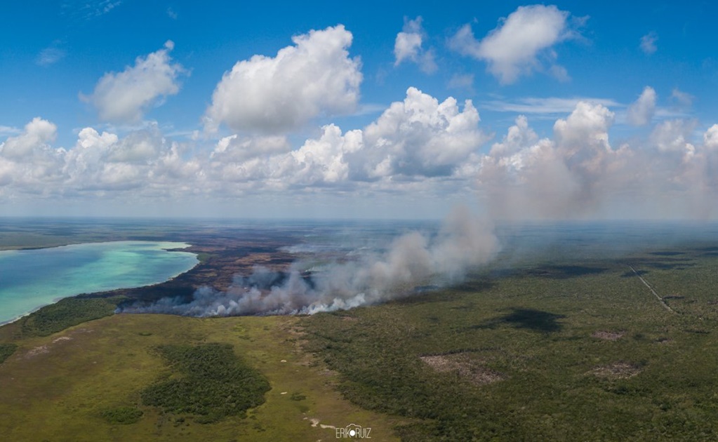 Controlan tres incendios forestales en Quintana Roo