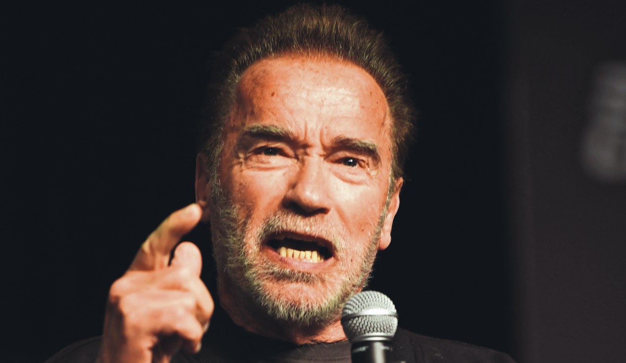 Arnold Schwarzenegger olvida el glamour y repara un bache de su colonia