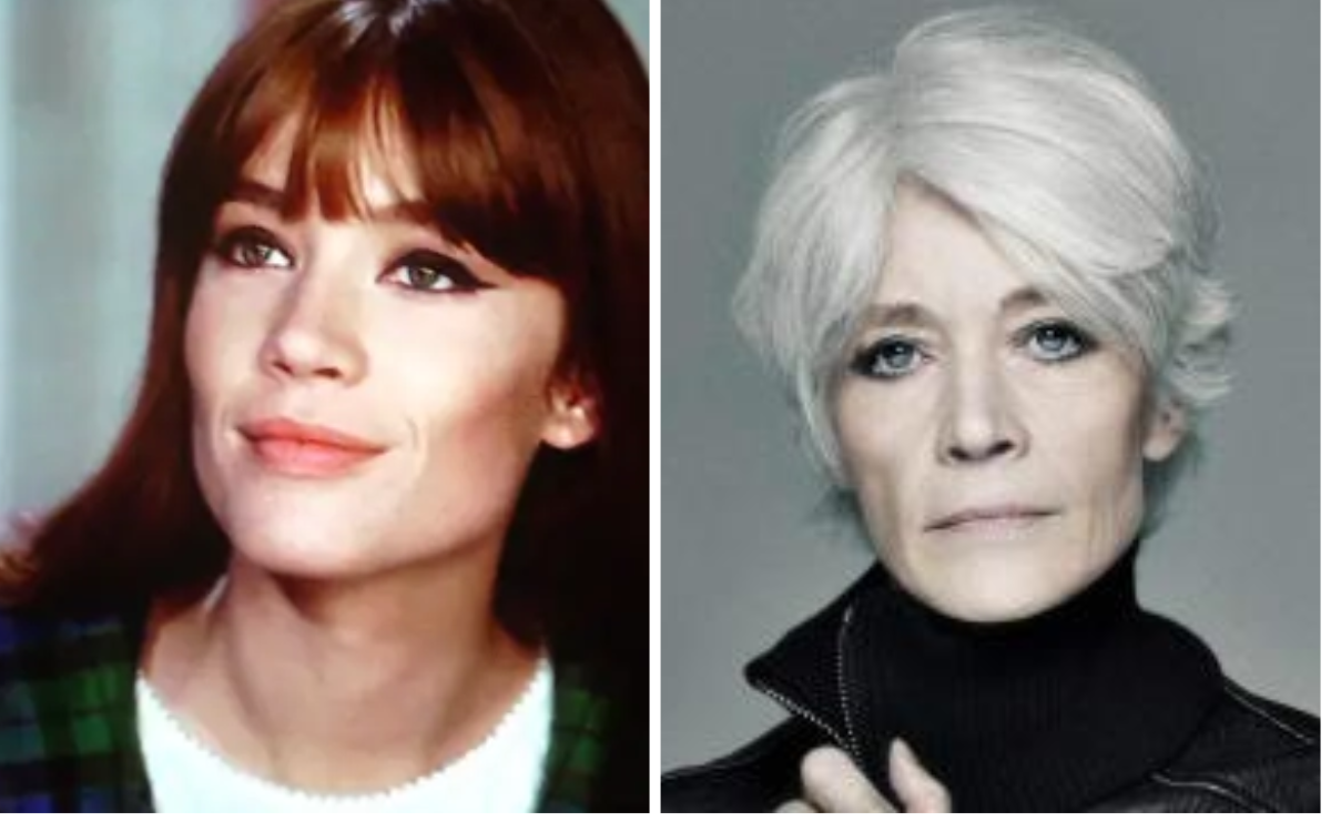 ¿Quién era Françoise Hardy, ícono del pop francés que falleció a los 80 años?