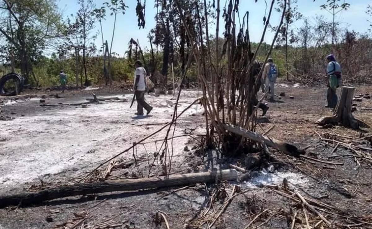 Fuego arrasa con fauna de la Reserva de la Biosfera Ría Lagartos; animales mueren calcinados