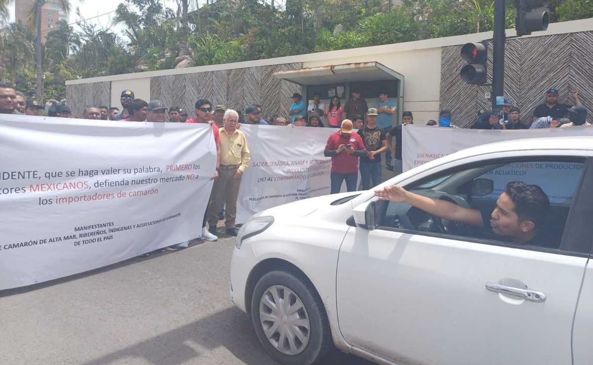 Acuicultores de Mazatlán exigen al gobierno federal frenar importaciones de crustáceo sin control sanitario