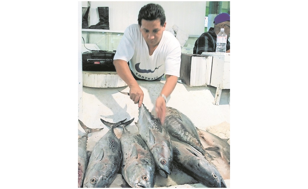 Sin freno, los envíos de atún mexicano