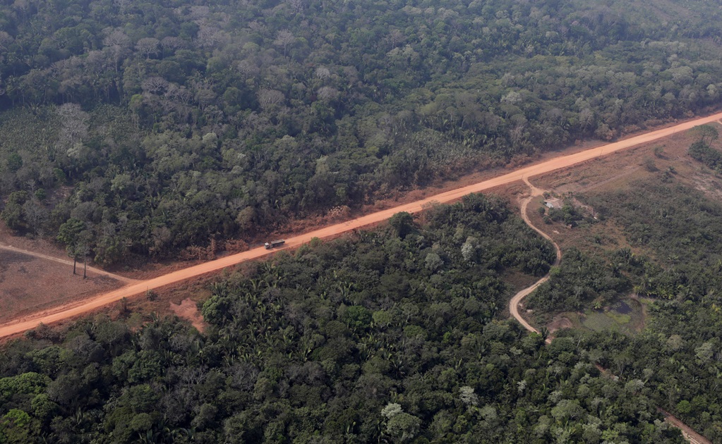 Presencia del narco causa devastación en bosques de Centroamérica: estudios