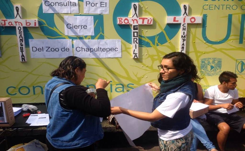 Realizan consulta para cerrar el zoo de Chapultepec