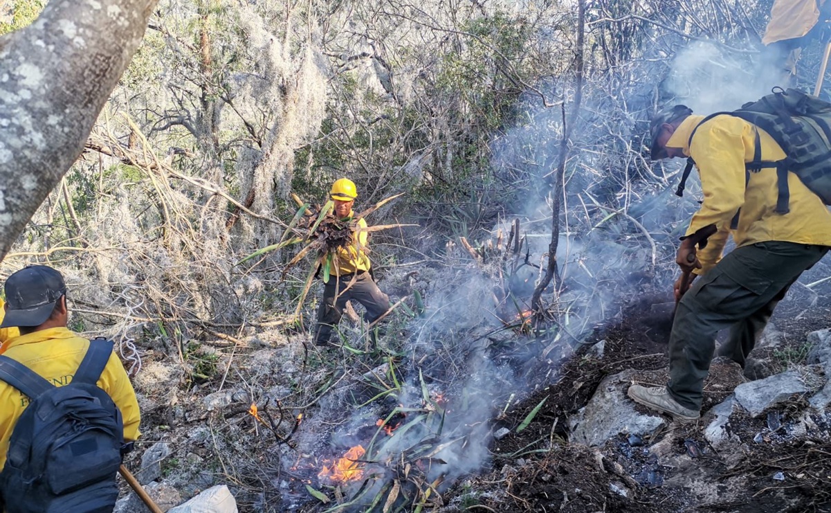 Solicitan a Semarnat informe sobre acciones para combatir incendios forestales en el país