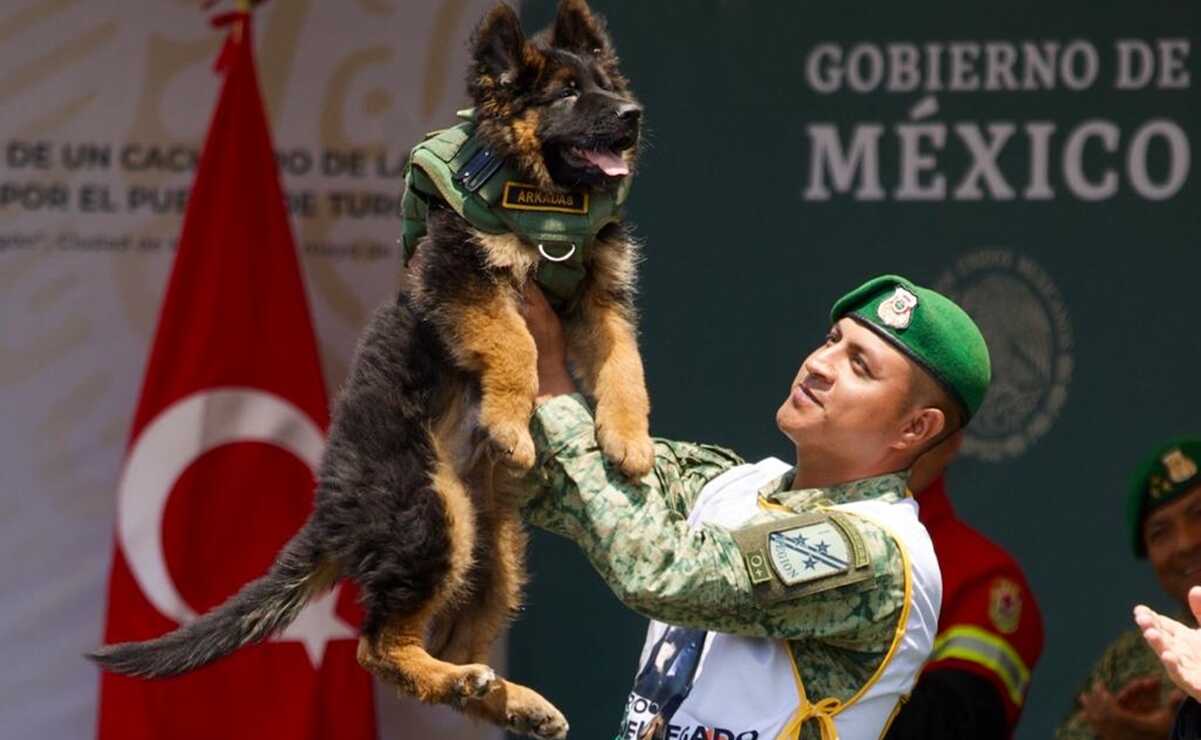 Arkadas cumple su primer año y la Sedena te invita a celebrarlo con él