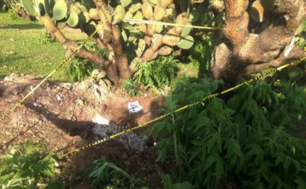 Confirman hallazgo de 7 cuerpos en fosas de Valparaíso, Zacatecas 