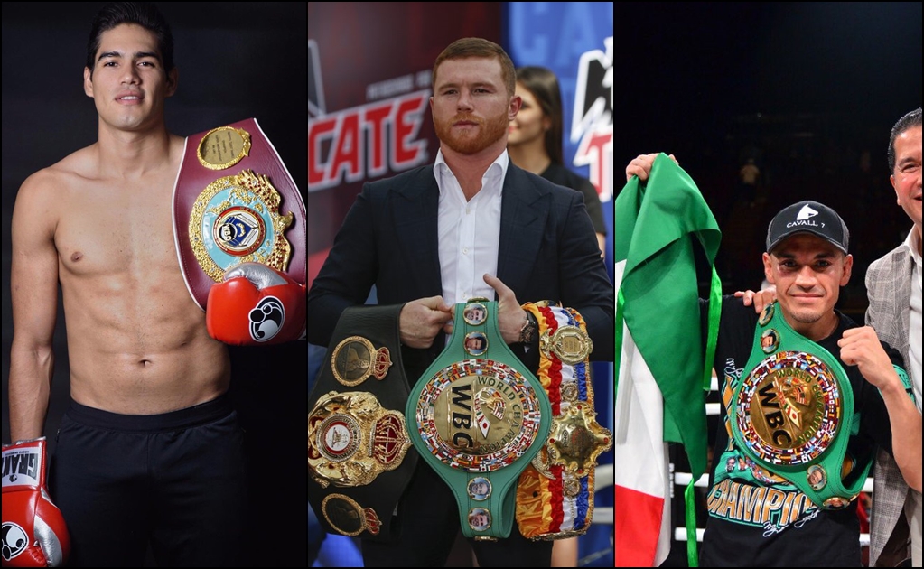 México presume nueve campeones mundiales en boxeo