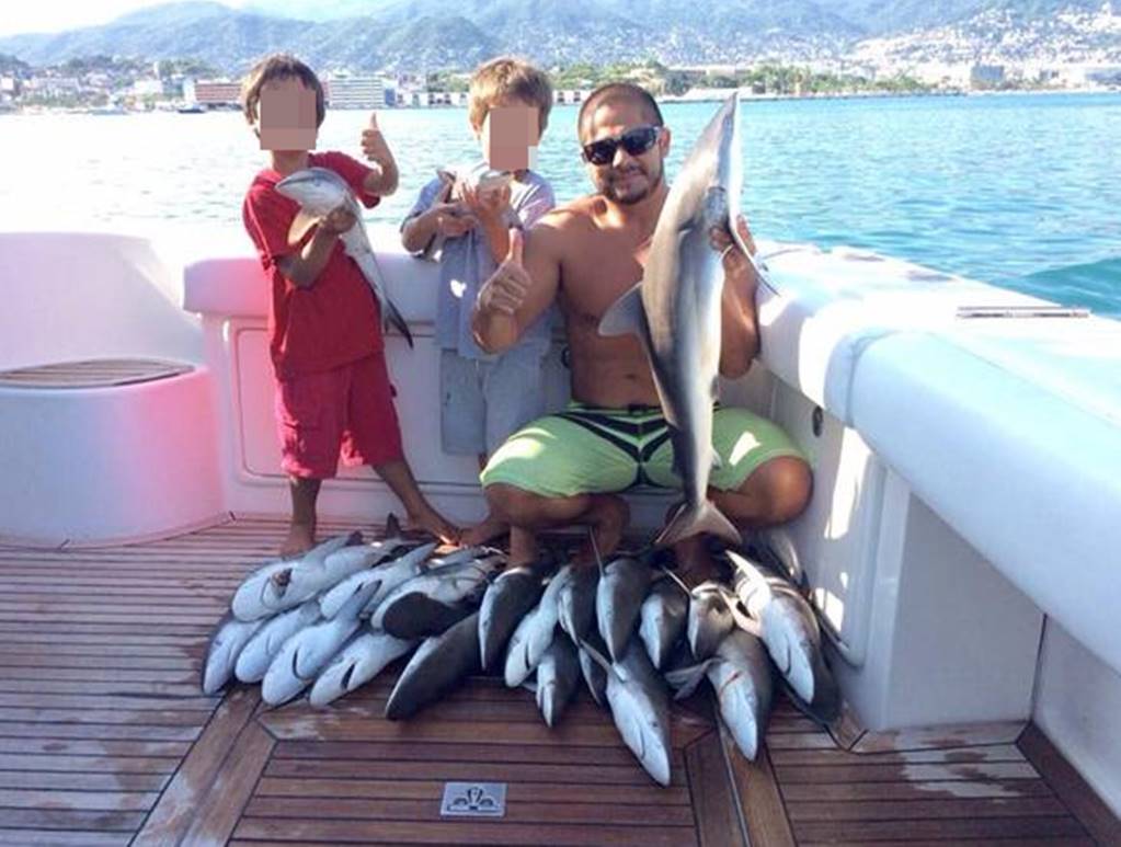 Condena PVEM pesca ilegal de ex candidato en Acapulco