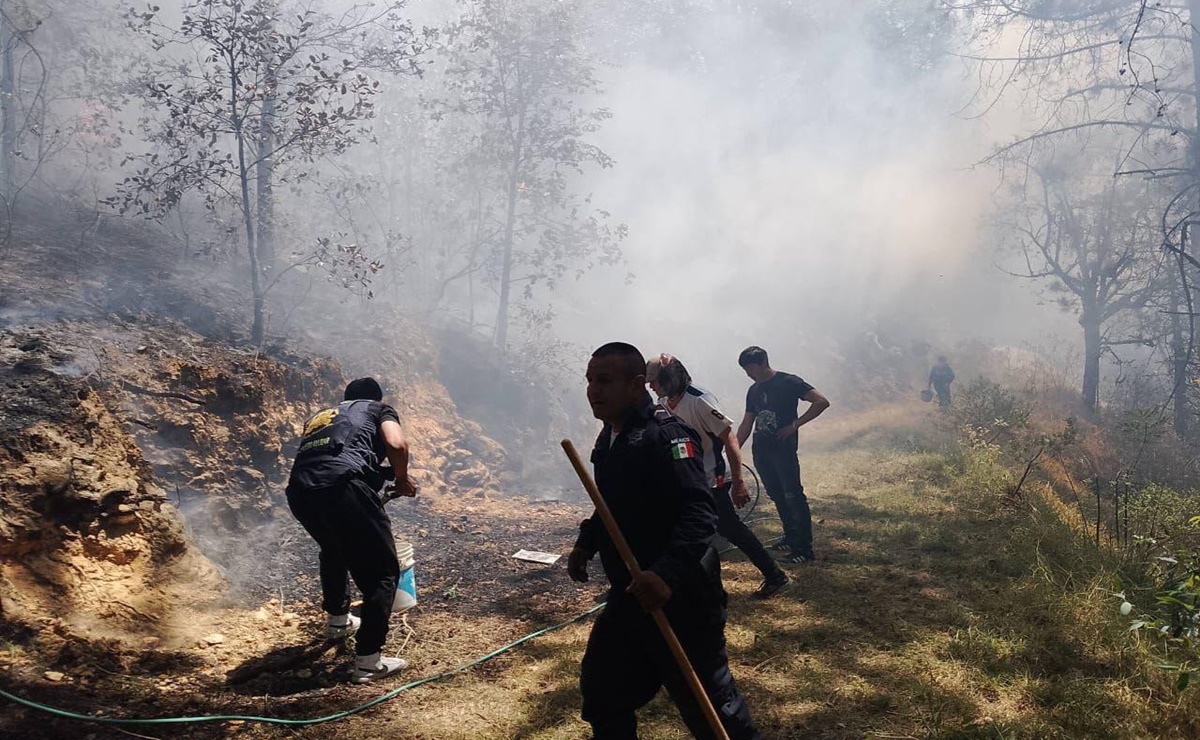 Proponen en San Lázaro hasta 25 años de prisión a quien provoque intencionalmente un incendio forestal