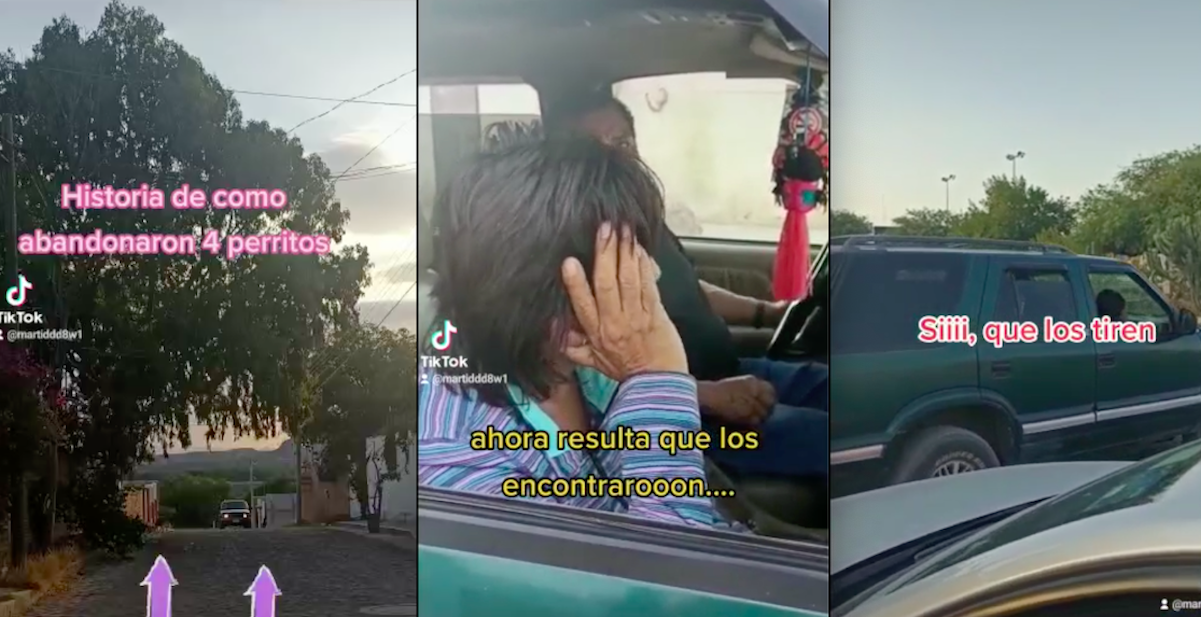 Captan abandono de lomitos en Querétaro; se dan a la fuga