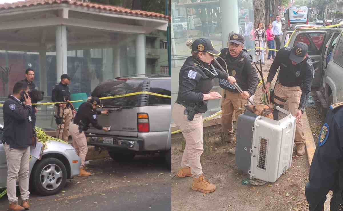 ¡Hachiko mexicano! Lomito se queda con su amo hasta sus últimos momentos; vivían en una camioneta