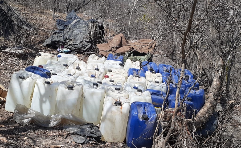 Suman 24 laboratorios de drogas clandestinos desmantelados en Sinaloa este año