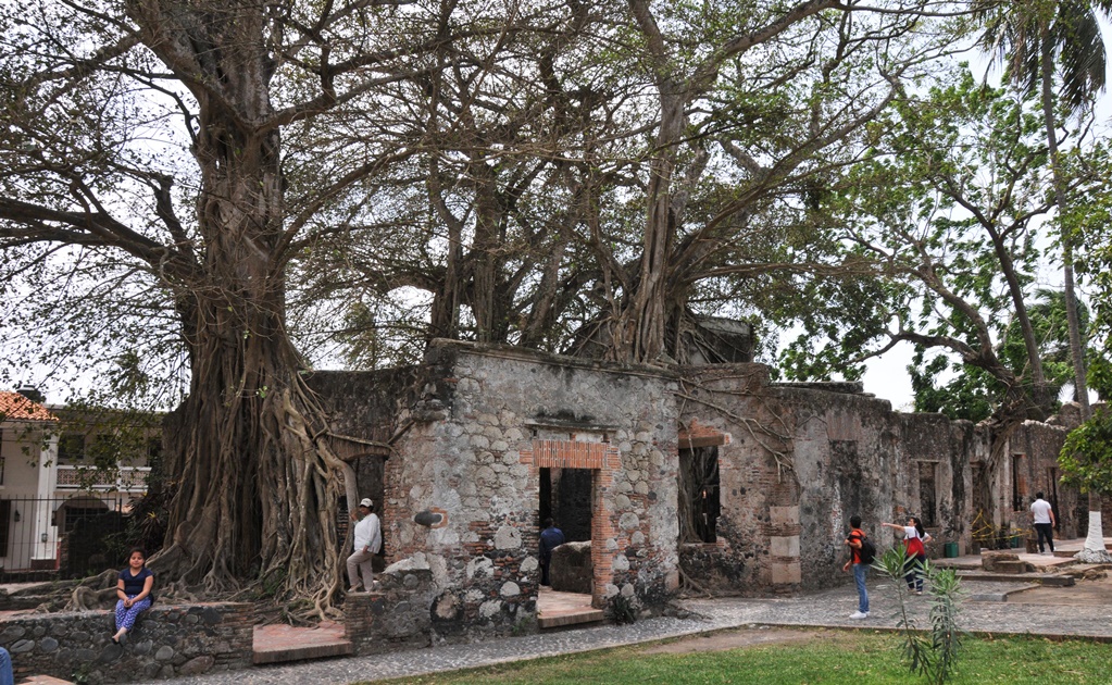 La Antigua se mantiene de pie gracias a raíces de árboles milenarios