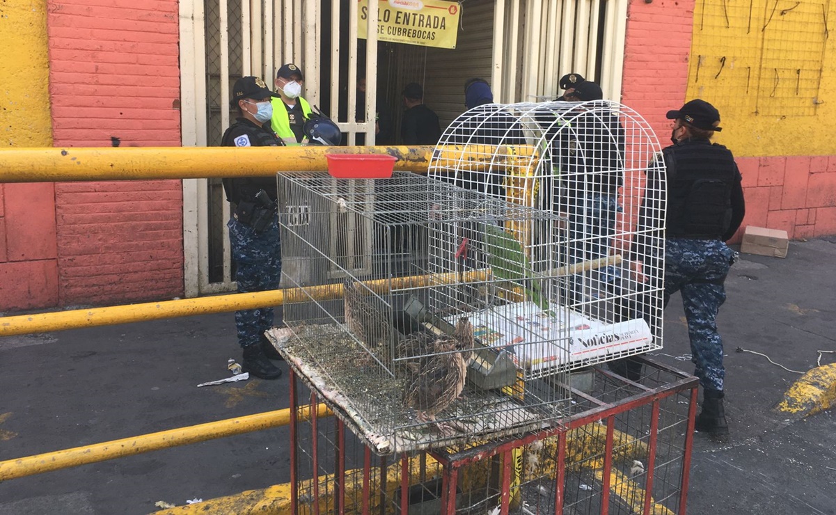 Tras incendio en Mercado Sonora, dialogarán con locatarios sobre venta de animales