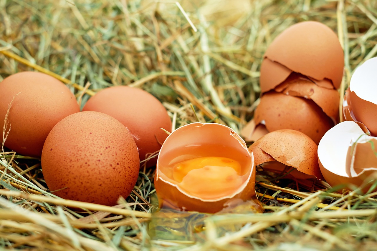 La parte más nutritiva del huevo: ¿clara o yema?
