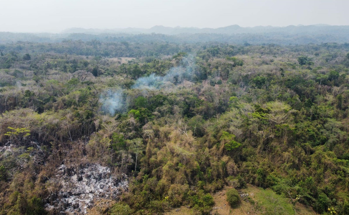 Veracruz registra 15 incendios forestales y 5 de pastizales; autoridades llaman a evitar quemas agrícolas