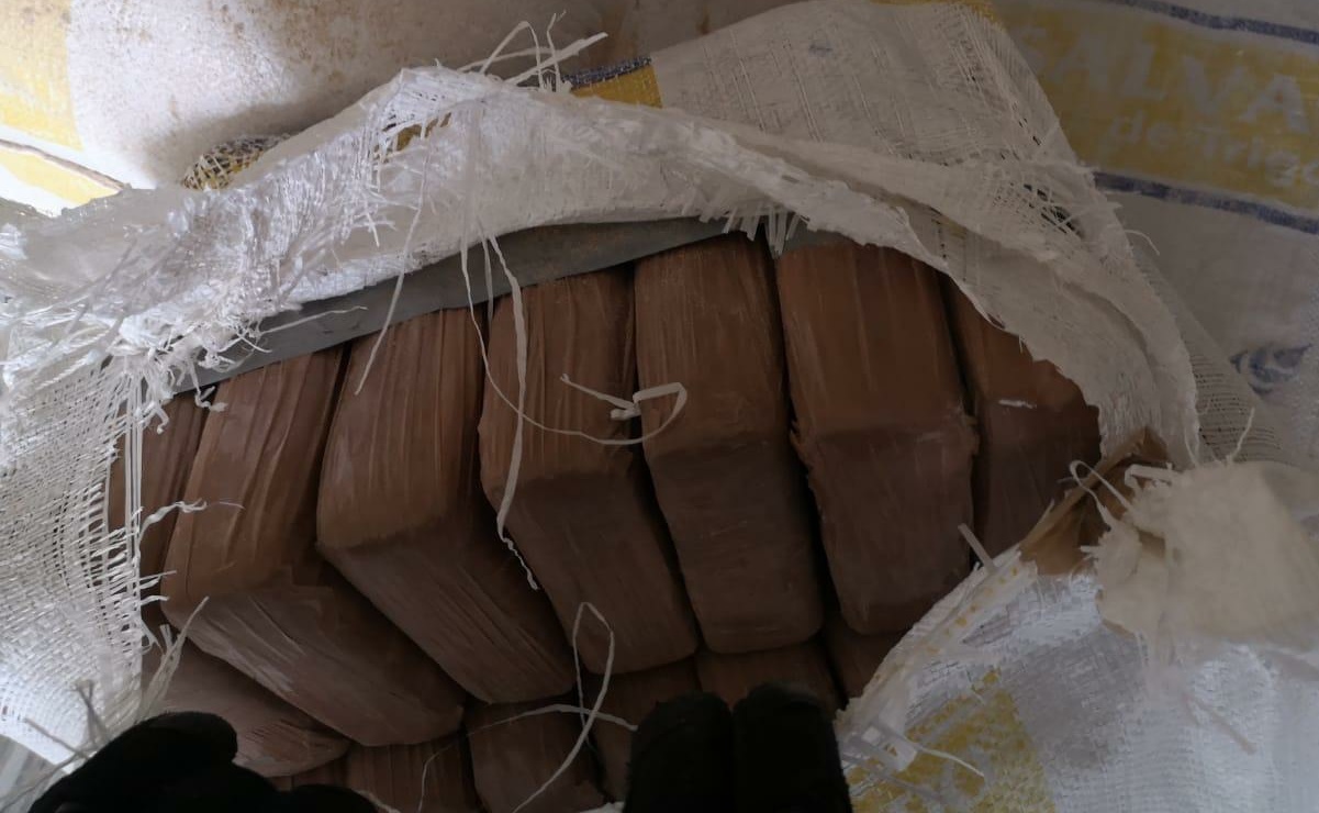 FGR asegura más de media tonelada de cocaína en garita de Chiapas