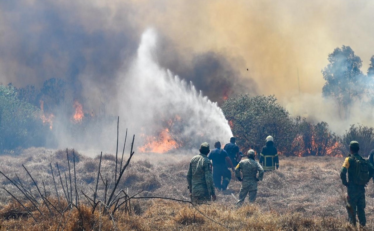 Incendios forestales aumentaron 50% en Naucalpan en lo que va del 2024
