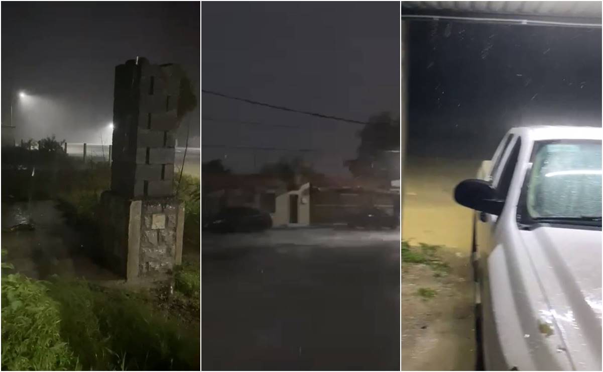 VIDEO: Más de 250 mil usuarios de CFE afectados por fuertes vientos en NL y Tamaulipas