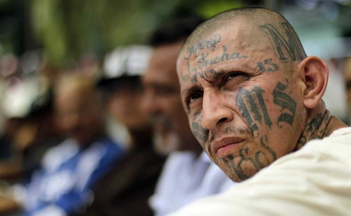 ¿Qué es la Mara Salvatrucha y qué significa el número 13 en las pandillas?