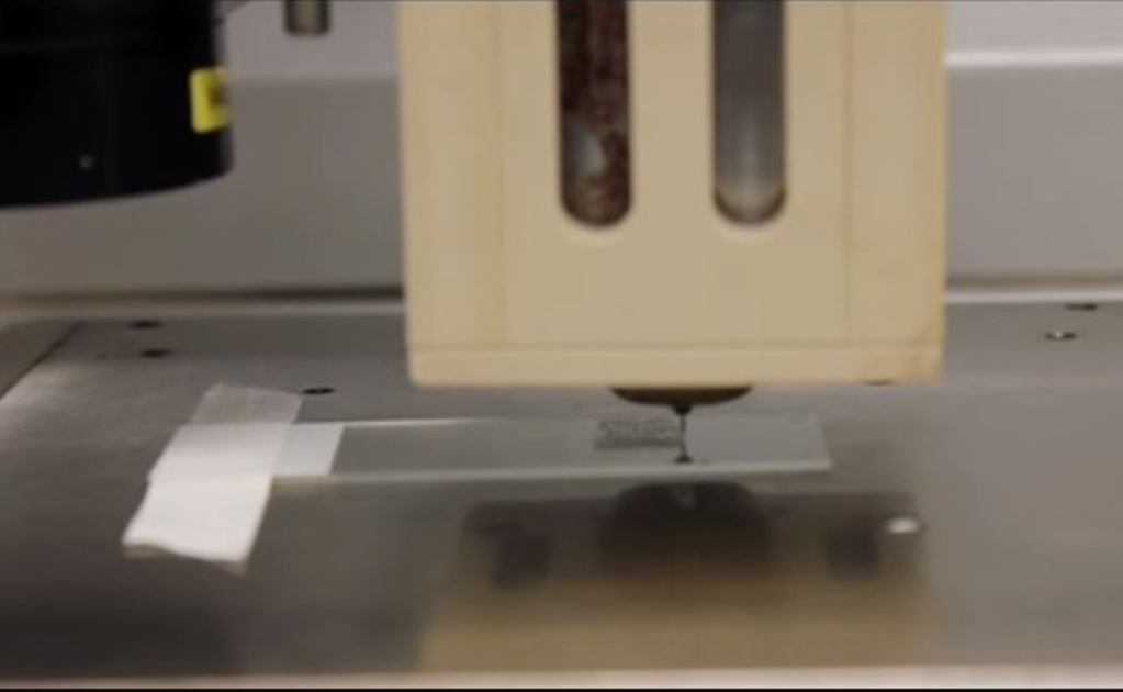 Desarrollan ovarios impresos en 3D con buenos resultados en ratones