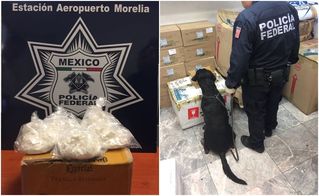 Asegura PF kilo de cocaína en Terminal de Autobuses de Morelia