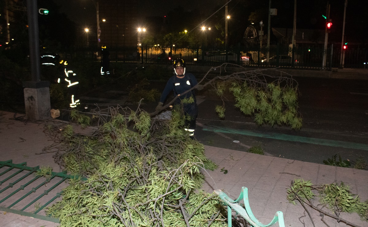 Fuertes vientos, lluvias y actividad eléctrica en CDMX; saldo: 21 árboles caídos