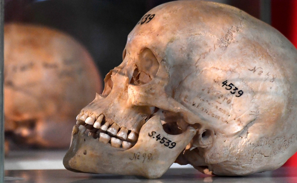 Alemania devuelve restos óseos de tribus exterminadas